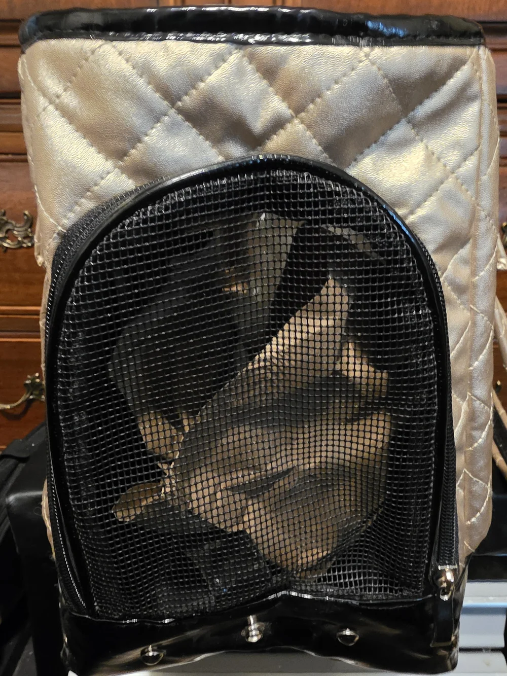 Max Studio Quilted Metallic Beige Tote with Black Trim